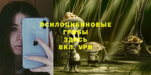 ГАЛЛЮЦИНОГЕННЫЕ ГРИБЫ Карпинск